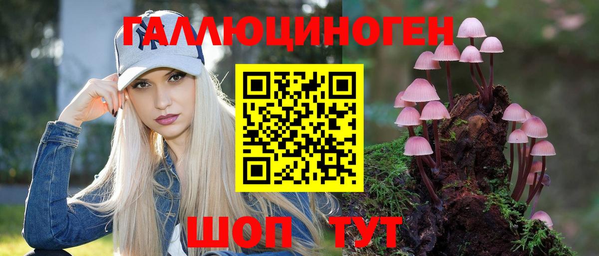 Котовск  Псилоцибиновые грибы Psilocybe  Вход с VPN  Псилоцибиновые грибы MAGIC MUSHROOMS 